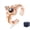Rose gold pack, variant on Womens Crown Ring European Inlay Plated Copper Ring with Gemstones Semi Precious Stone Inlay Adding a Touch of Royalty to Your Look Perfect Gift for Her