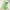 Green, variant on Balaclava Windproof Winter Face Mask Warm Fleece Ski Mask for Men and Women Cold Weather Motorcycle Bike Cycling Neck Warmer