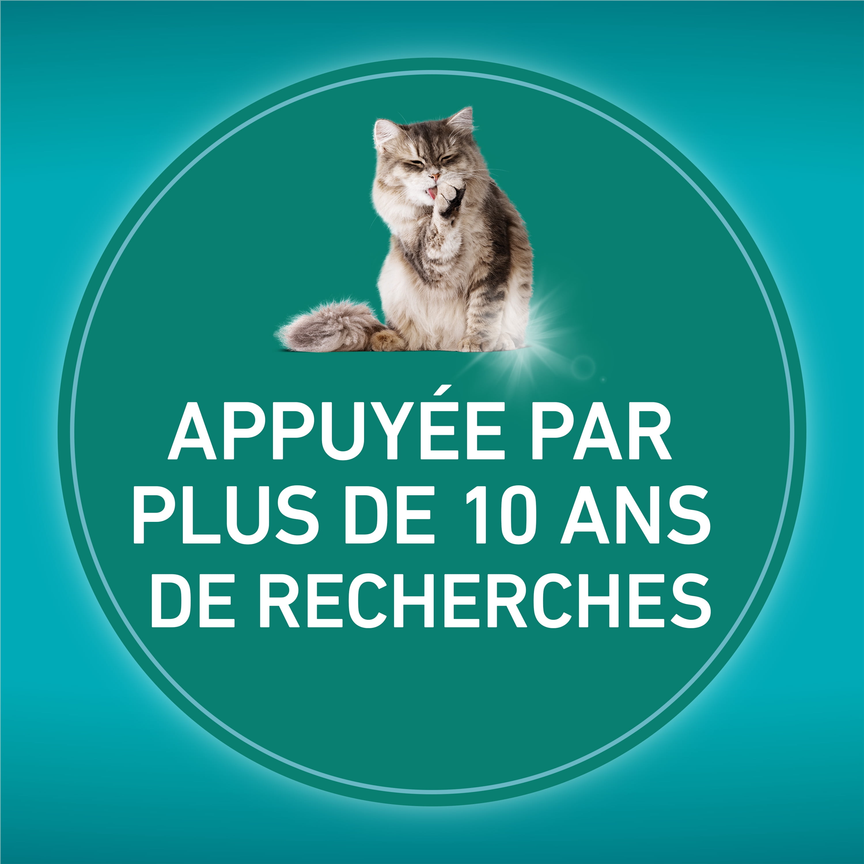 Purina ONE LiveClear Allergen-Reducing Formula With Real Chicken, Dry Cat Food, 1.36 kg