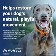 Previcox (Firocoxib) Anti-Inflammatory Chewable Tablets for Dogs, 57mg