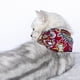 thumbnail image 2 of Zhuge Bandana para perros 1 pieza, mezcla de poliéster ligera de secado rápido, bufandas triangulares, baberos, pañuelo ajustable para perros, regalo para mascotas, M, A15, 2 of 3