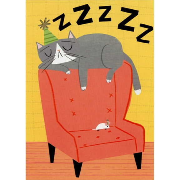 Designer Greetings Cat Sleeping on Salmon Colored Chair Funny / Humorous Birthday Card