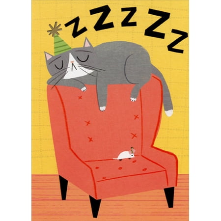 Designer Greetings Cat Sleeping on Salmon Colored Chair Funny / Humorous Birthday Card