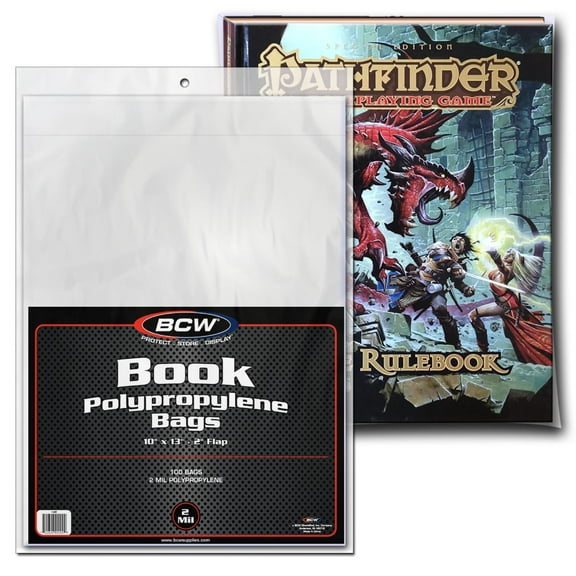 10 packs of 100 (1000) BCW 10" x 13" 2" Flap Book Storage Bags