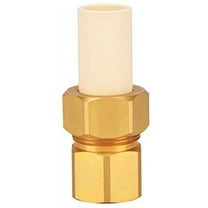 Homewerks Schedule 40 3/4 in. Compression x 3/4 in. Dia. FPT Adapter Coupling CPVC - Case of: 1