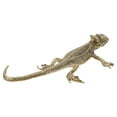 thumbnail image 1 of IDEANATEGRATE Escultura De Lizard De Latón Retro Con Único Para Sofisticada Del Hogar, 1 of 8
