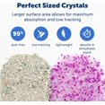 thumbnail image 3 of SHILIU-PetSafe ScoopFree Premium Lavender Crystal Cat Litter, 3-Pack \u2013 Lightly Scented Litter \u2013 Superior Odor Control \u2013 Low Tracking for Less Mess \u2013 Lasts Up to 6 Months, 24 lb To, 3 of 4