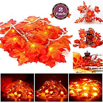 Christmas Lights Ideas 2019 2 Pack Maple Leaves String Lights, 40 LED Bulbs 19.6ft Fall Garland Decoration Lights, Idea for Halloween, Thanksgiving days, Christmas and Birthday Party Indoor Outdoor Decorations ()