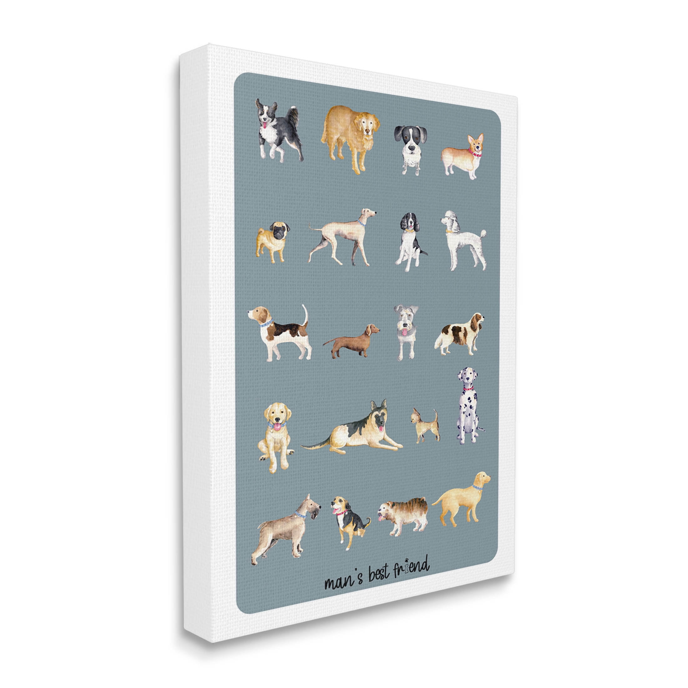 Man's Best Friend Dog Breeds Animals & Insects Graphic Art Gallery Wrapped Canvas Print Wall Art
