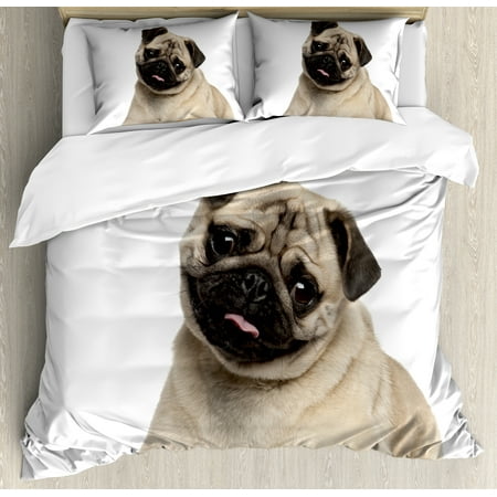 Pug Queen Size Duvet Cover Set, Nine Months old Pug Puppy Lying Around Cute Pet Funny Animal Domestication Print, Decorative 3 Piece Bedding Set with 2 Pillow Shams, Pale Brown Black, by