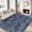 Navy, variant on Living Room Rug 5x7 Rug Washable Rug for Bedroom Modern Rug Non Slip Farmhouse Neutral Rug Soft Throw Rugs Low Pile Stain Resistant Carpet for Office Nursery Dining Room 5'x7' Grey