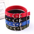 thumbnail image 3 of Jinsinto Ensemble de 4 Colliers pour Chat, Longueur Ajustable 27-34cm, 2cm de Largeur, Collier pour Chaton, Accessoire pour Chats et Animaux de Compagnie, 3 of 5