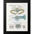 thumbnail image 2 of Renard, Louis 15x18 Black Modern Framed Museum Art Print Titled - Crabbe- Scorpion, 2 of 5