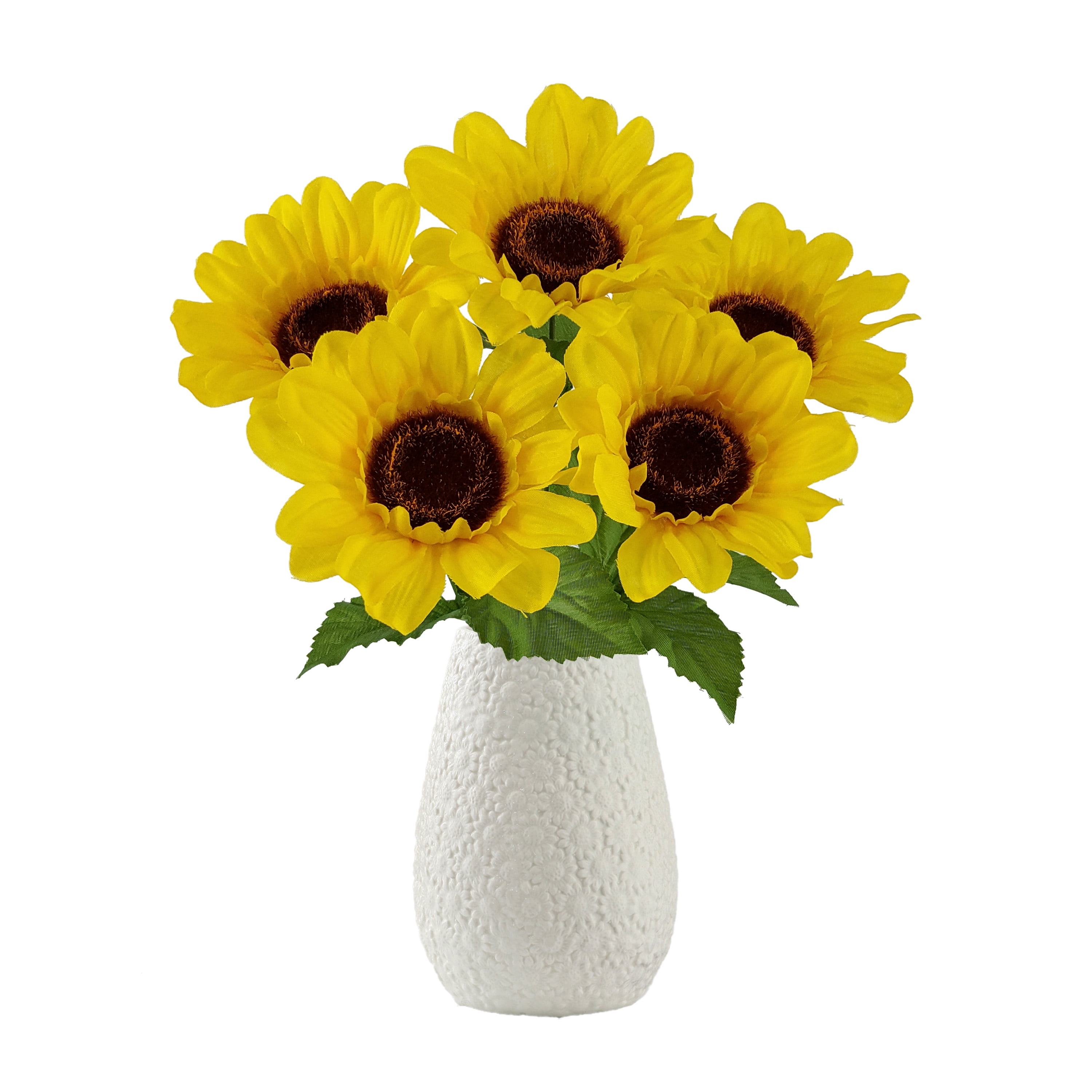 sunflower171707ページ Sunflower ProCut Orange F1 Seed – Harris Seeds