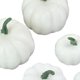 thumbnail image 4 of Modelo de calabazas artificiales, 6 uds., verduras artificiales, bonitas calabazas artificiales rústicas DIY para Halloween, chimenea, tienda, adorno Estilo C, 4 of 5
