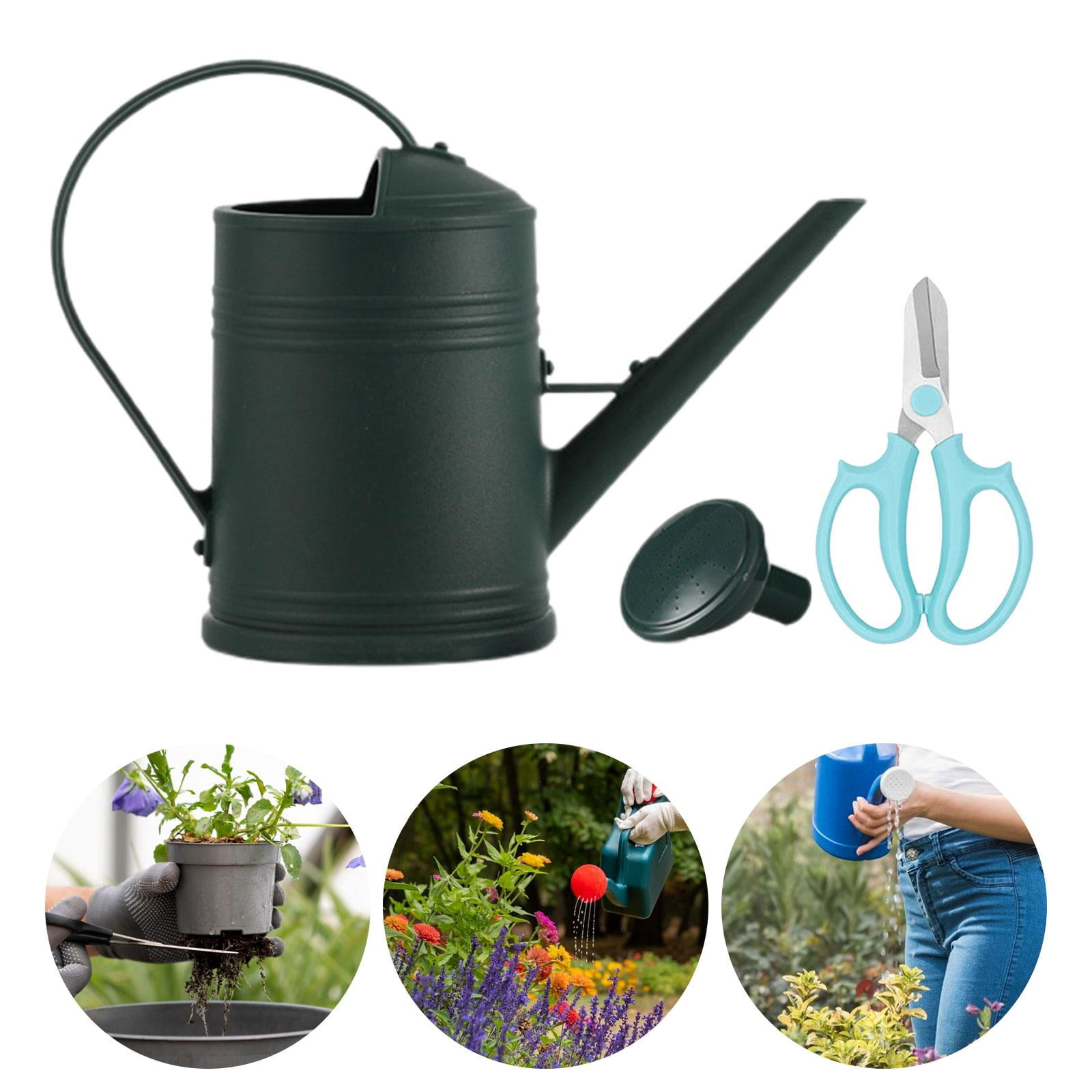 koolsoo 2L Garden Watering Can Watering Pot Removable Nozzle Watering Bottle Sturdy Gardening Tool for Watering Plants Garden Flowers dark green