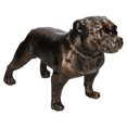 thumbnail image 3 of Pit Bull Terrier Dog Cast Iron Statue Figure Trophy Ornament Sculpture Staffy, 3 of 4