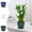 White, variant on Leodye Plant Pots with Saucers & Drain Holes - Indoor/Outdoor Flower Pots for Succulents, Herbs, Cactus - Modern Lightweight Durable Planter Set