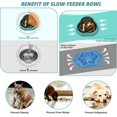 thumbnail image 5 of Elevated Dog Bowls Foldable Food Water Feeding Bowls, 5 of 5