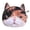 P, variant on Animal Wallet Purse Cute Cartoon Tiger Cat Zipper Small Money Coin Case Mini Clutch Bags for Women