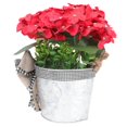 thumbnail image 4 of Red Plastic Hanging Flower Basket for Front Door Decor and Outdoor Deck Decorations 12.5 inches, 4 of 4
