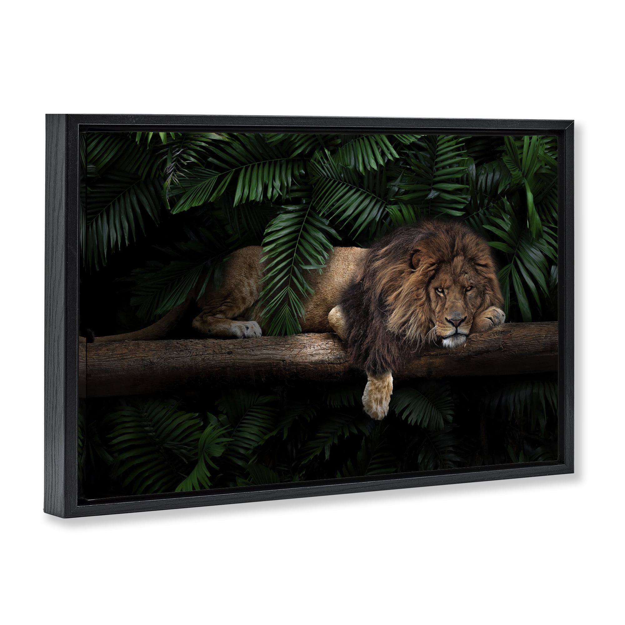 Stupell Industries Lion on Tropical Branch Animals Painting Black Floater Framed Canvas Art Print Wall Art, 25 x 17