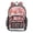 Roses and Stripes Pattern, variant on PVC Transparent Backpacks Clear Backpack for Travel and Outings Red Roses and Hearts Pattern