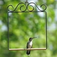 thumbnail image 2 of Accesorio para Alimentador de Percha de Columpio de Pájaro Tarareante de Metal Negro Sunnimix Columpio de colibrí 16,5 cm, 2 of 7