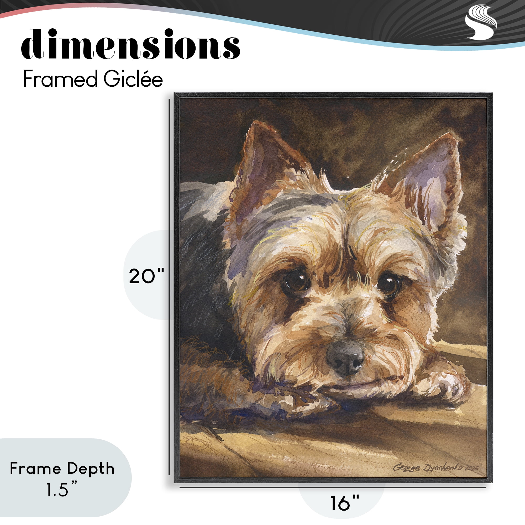 Stupell Industries Yorkshire Terrier Portrait Black Framed Giclee Art, design by George Dyachenko