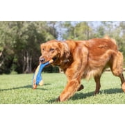 Chuckit! Flying Squirrel Canvas Fetch Disc Dog Toy, Large 11 for Breeds 60 lb+, Pack of 1, Orange and Blue