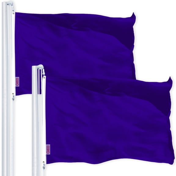 Solid Violet Color Flag 3x5FT 2-Pack Printed 150D Polyester By G128