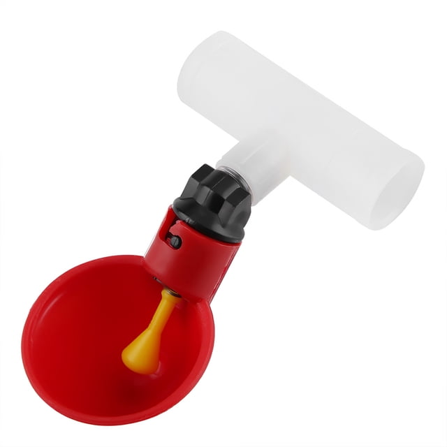 Duck Waterer Eau de Poulet Volaille pour Poulet