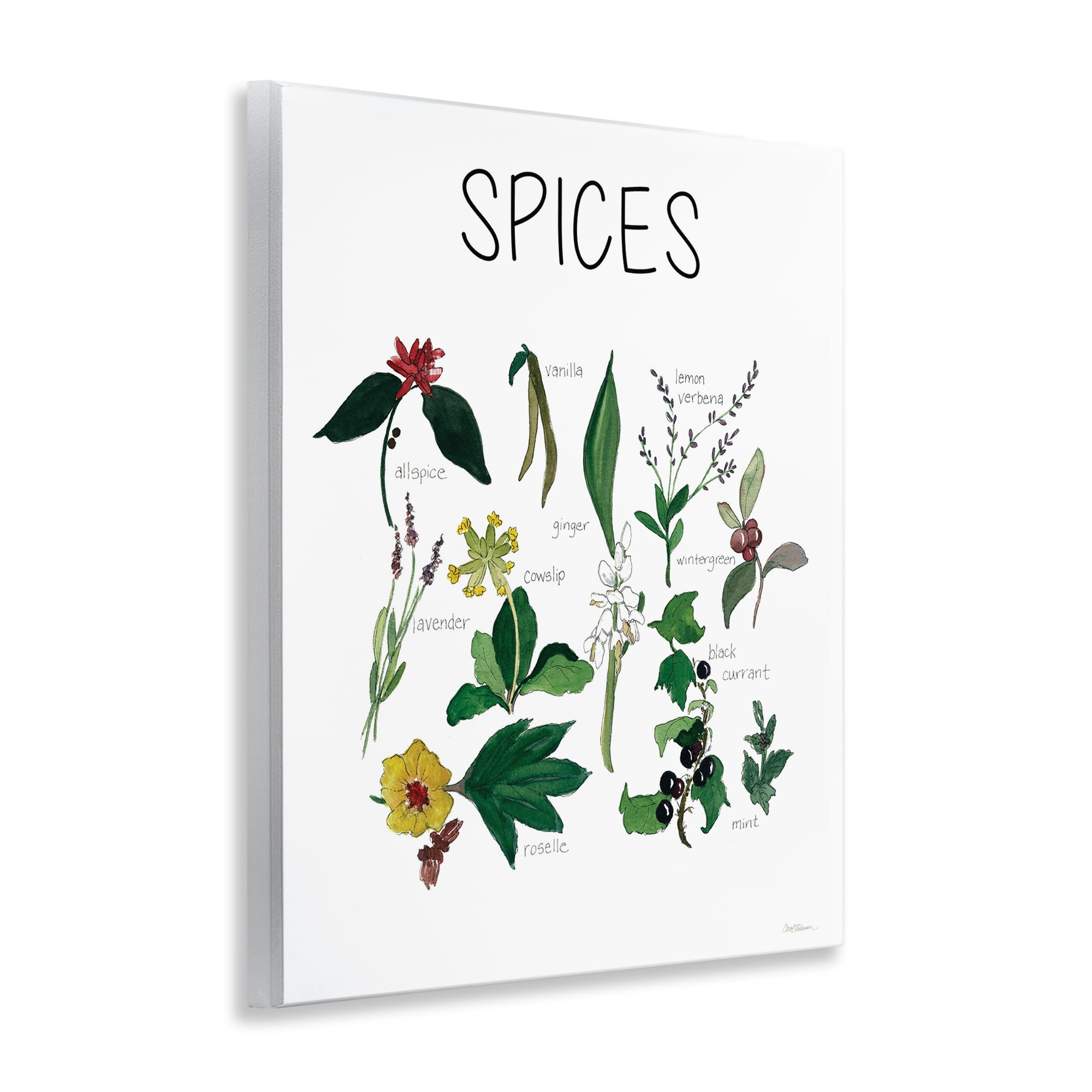Stupell Industries Spices Identification Chart Wall Plaque Art, design by Carol Robinson