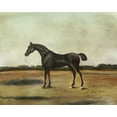 thumbnail image 2 of McCavitt, Naomi 24x20 Gold Ornate Wood Framed with Double Matting Museum Art Print Titled - Trentham- A Bay Colt, 2 of 4