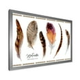 thumbnail image 2 of Designart 'Exotic Vibrant Boho Watercolor Feathers' Bohemian & Eclectic Framed Art Print, 2 of 4
