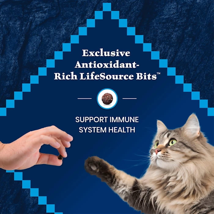 Blue Buffalo Wilderness High-Protein Salmon Mature Cat Food, 7+ Years, 5lb photo 8