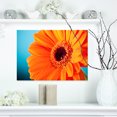 thumbnail image 1 of Orange Daisy Gerbera Flower Close up - Flowers Canvas Wall Artwork, 1 of 3