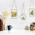 thumbnail image 5 of 3 Packs Pressed Flowers Glass Frames- Golden Hanging Picture Frames with Chain Floating DIY Artwork Display, 5 of 7