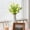 Z-3-C, variant on Daisy Flowers Artificial Small Artificial Daisies Flowers with Stems Fake Wildflowers Daisy Flowers Faux Spring Flowers Bouquet Rustic Artificial Wildflower Home Decor 1Pcs