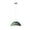 Green, variant on Retro Colorful Semicircle Metal Pendant Lighting for Dining Room, Minimalism Industrial Style Pendant Light Fixture, Modern Simple Pendant Lamp for Kitchen Island Garage Over Table