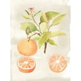 thumbnail image 2 of McCavitt, Naomi 12x14 Gold Ornate Wood Framed with Double Matting Museum Art Print Titled - Watercolor Fruit V, 2 of 4