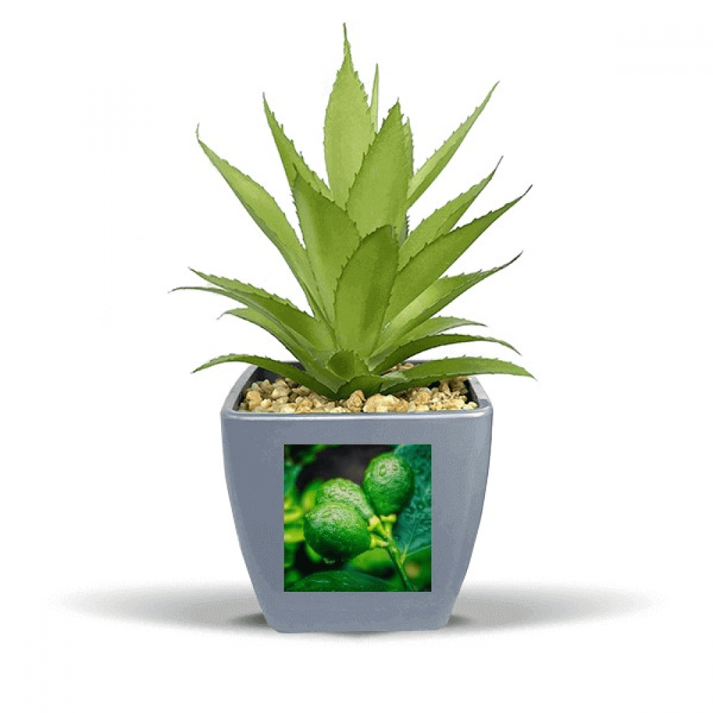 Fruits Frais Citron Image Photographie Faux Ananas Pot de Fleurs Vase Mini Décor