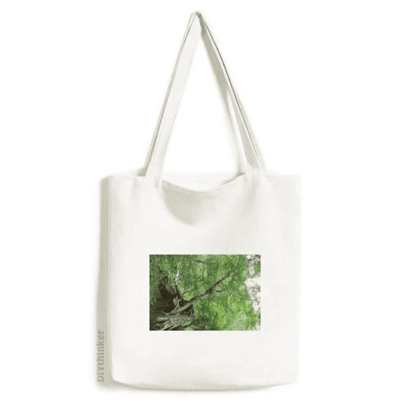 Changbai Mountain Yuehua Art Deco Fashion Tote Canvas Bag Shopping Satchel Casual Handbag