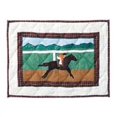 thumbnail image 1 of Patch Magic PMDRBY Derby- Tapis de Place 19 x 13 Po., 1 of 1