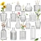 thumbnail image 1 of SOZOMO Juego de 16 Jarrones de Vidrio,Jarrones Peque&ntilde;os para Flores,Jarrones Transparentes para Centros de Mesa,Floreros Decorativos para Mesa,Floreros de Vidrio Peque&ntilde;os para Me, 1 of 9