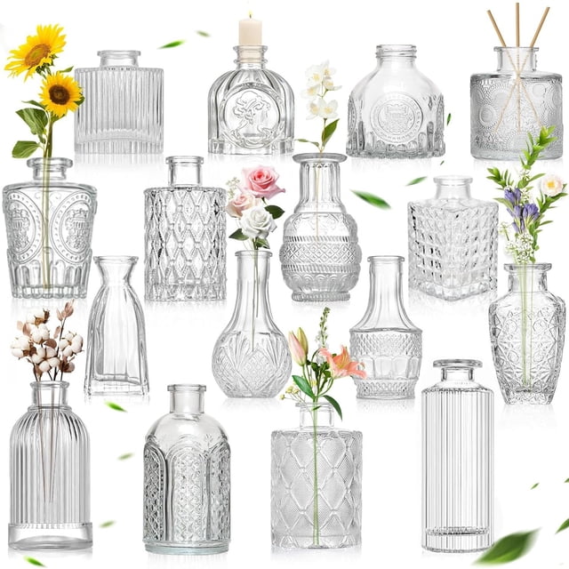 SOZOMO Juego de 16 Jarrones de Vidrio,Jarrones Pequeños para Flores,Jarrones Transparentes para Centros de Mesa,Floreros Decorativos para Mesa,Floreros de Vidrio Pequeños para Me