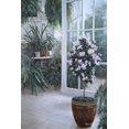 thumbnail image 2 of Romanello, Diane 17x24 Black Ornate Wood Framed with Double Matting Museum Art Print Titled - Patio Light, 2 of 4