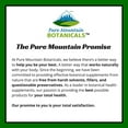 thumbnail image 2 of Organic Liquid Stevia Sweetener – Alcohol Free and Kosher Sugar Substitute - 2oz Glass Bottle, 2 of 9