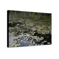 thumbnail image 1 of Canvas Print: Swampland In Rural Alabama, 2010, 1 of 3