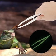 LaMaz Amphibians Reptiles Feeder Tweezers Worm Tortoise Lizard Crawler Feeding Tool